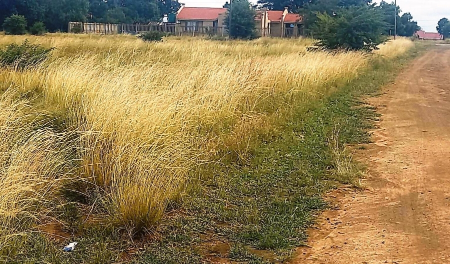 0 Bedroom Property for Sale in Oranjeville Free State